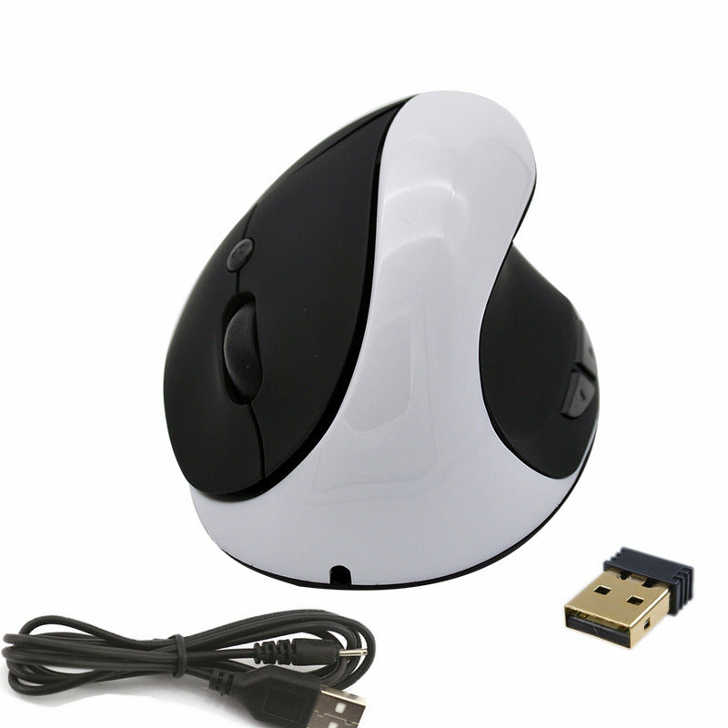 Souris Verticale Ergonomique — Recharge Sans Fil Induction